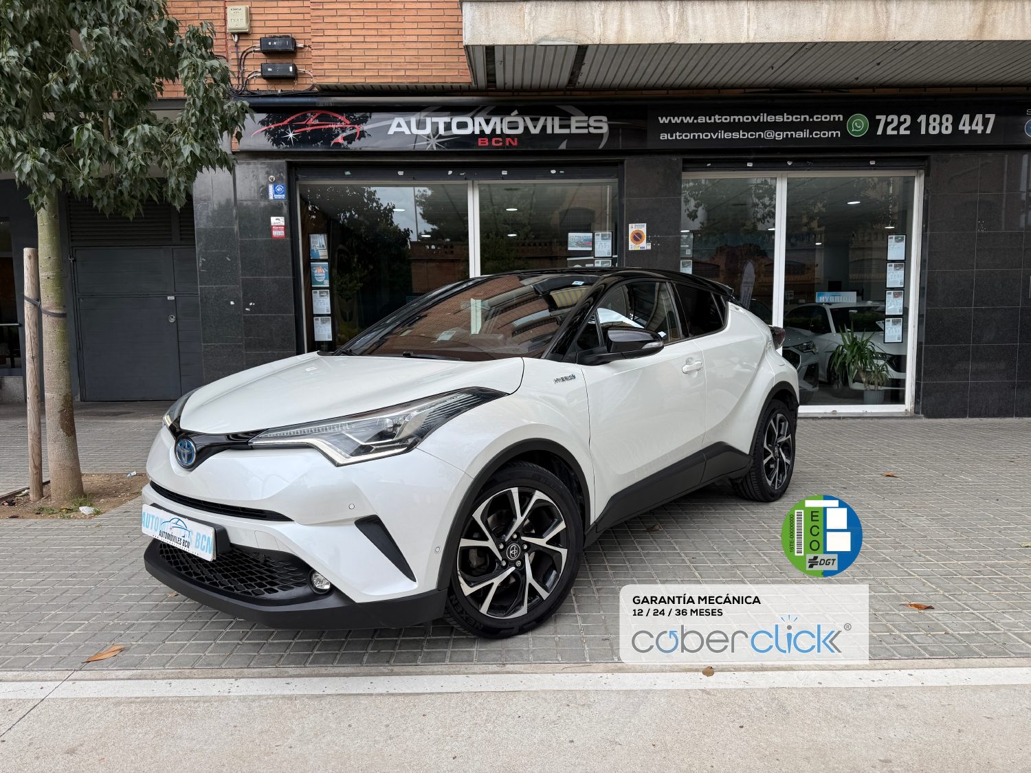 Toyota C-HR Dynamic