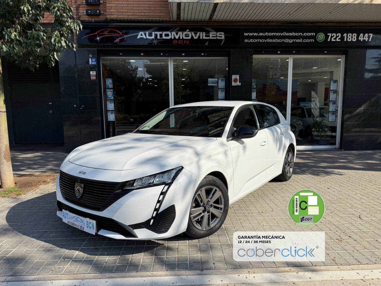 Peugeot 308 Active